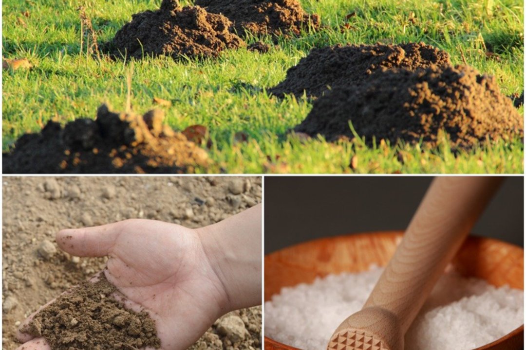 The Difference Between Fill Dirt and Topsoil