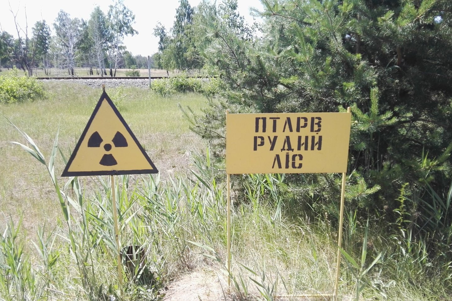  Vaizdai iš Černobylio zonos. Šiuo metu tai vien labiaušiai užterštų vietų.Šalia yra radiacijos išdeginti rudieji miškai<br> E.Grižibauskienės nuotr.