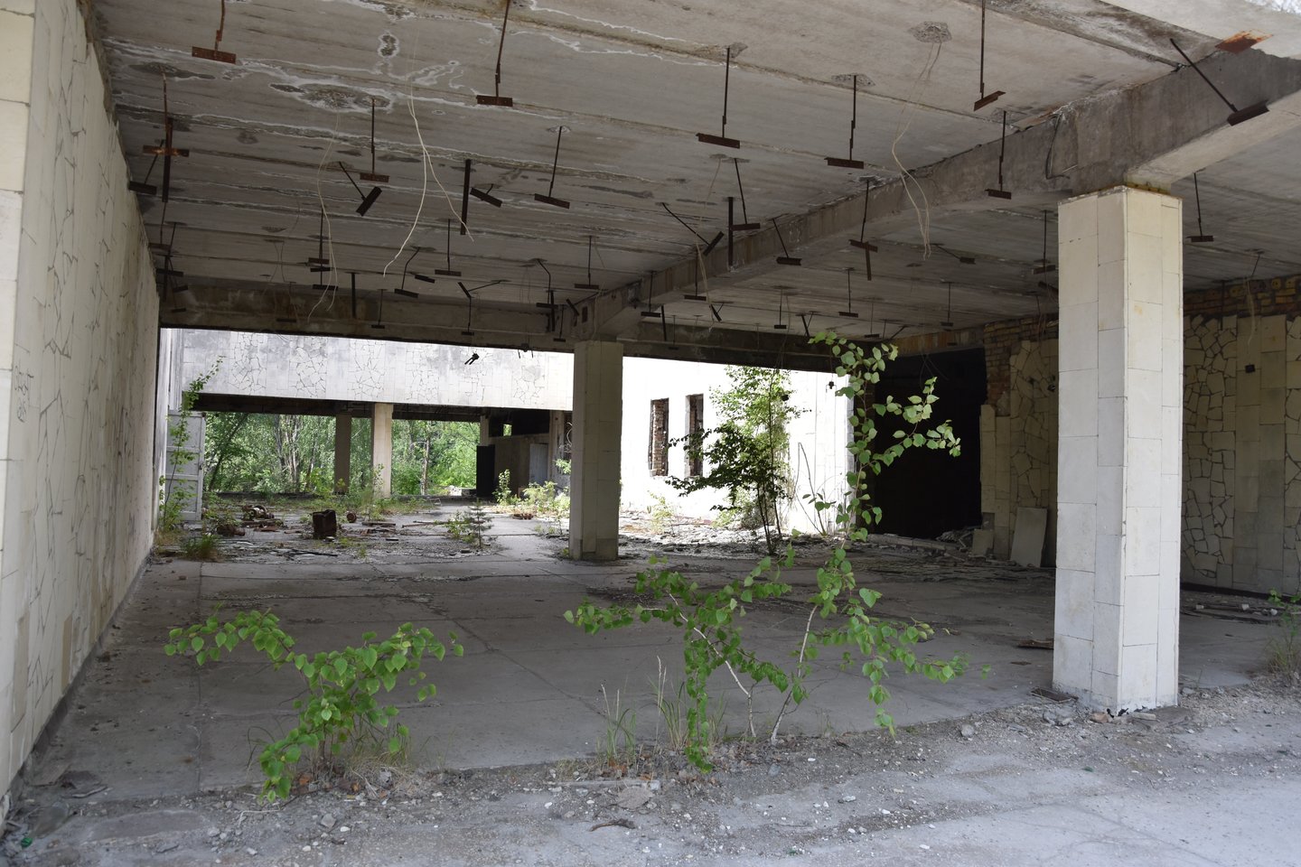  Vaizdai iš Černobylio zonos.<br>E.Grižibauskienės nuotr.