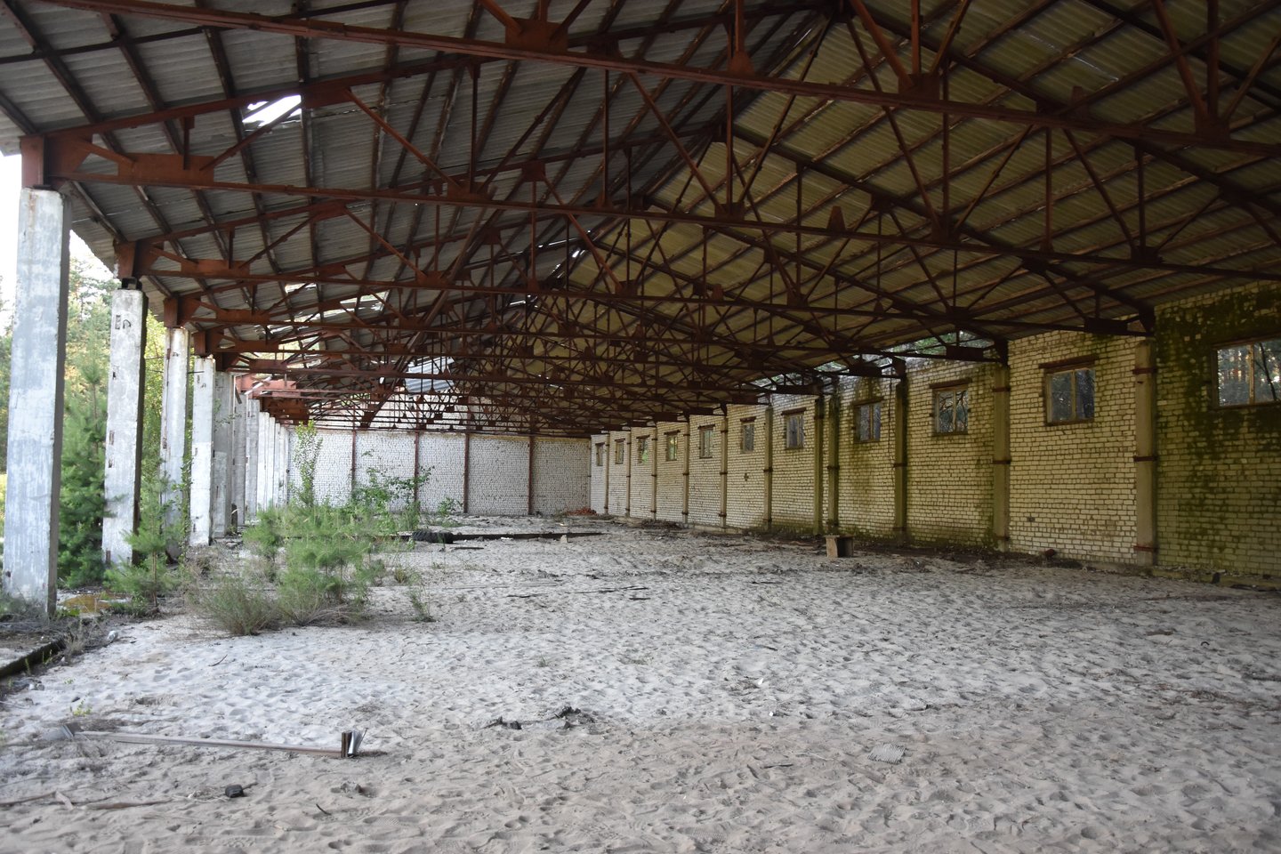 Vaizdai iš Černobylio. Oficialiai tai buvo pionierių stovyklos teritorija, o iš tikrųjų slapta karinė bazė.<br> E.Grižibauskienės nuotr