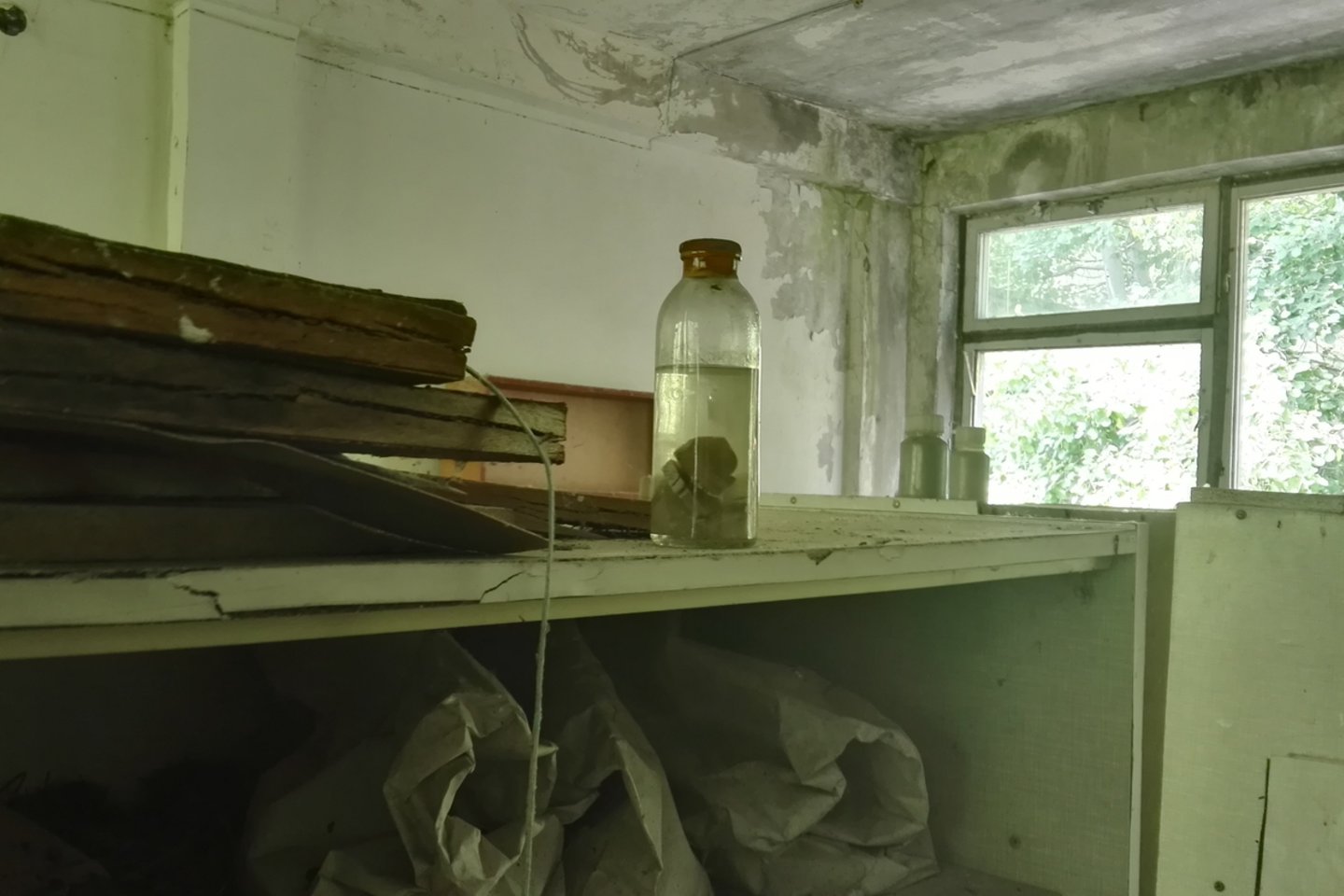  Vaizdai iš Černobylio zonos. Šioje laboratorijoje iki šių dienų buvo tiriamas radiacijos poveikis augalams ir gyvūnams.<br>E.Grižibauskienės nuotr.