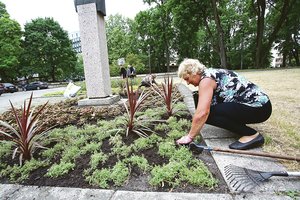 Kauno gėlynams klestėti trukdo kelios priežastys – teks imtis papildomų priemonių
