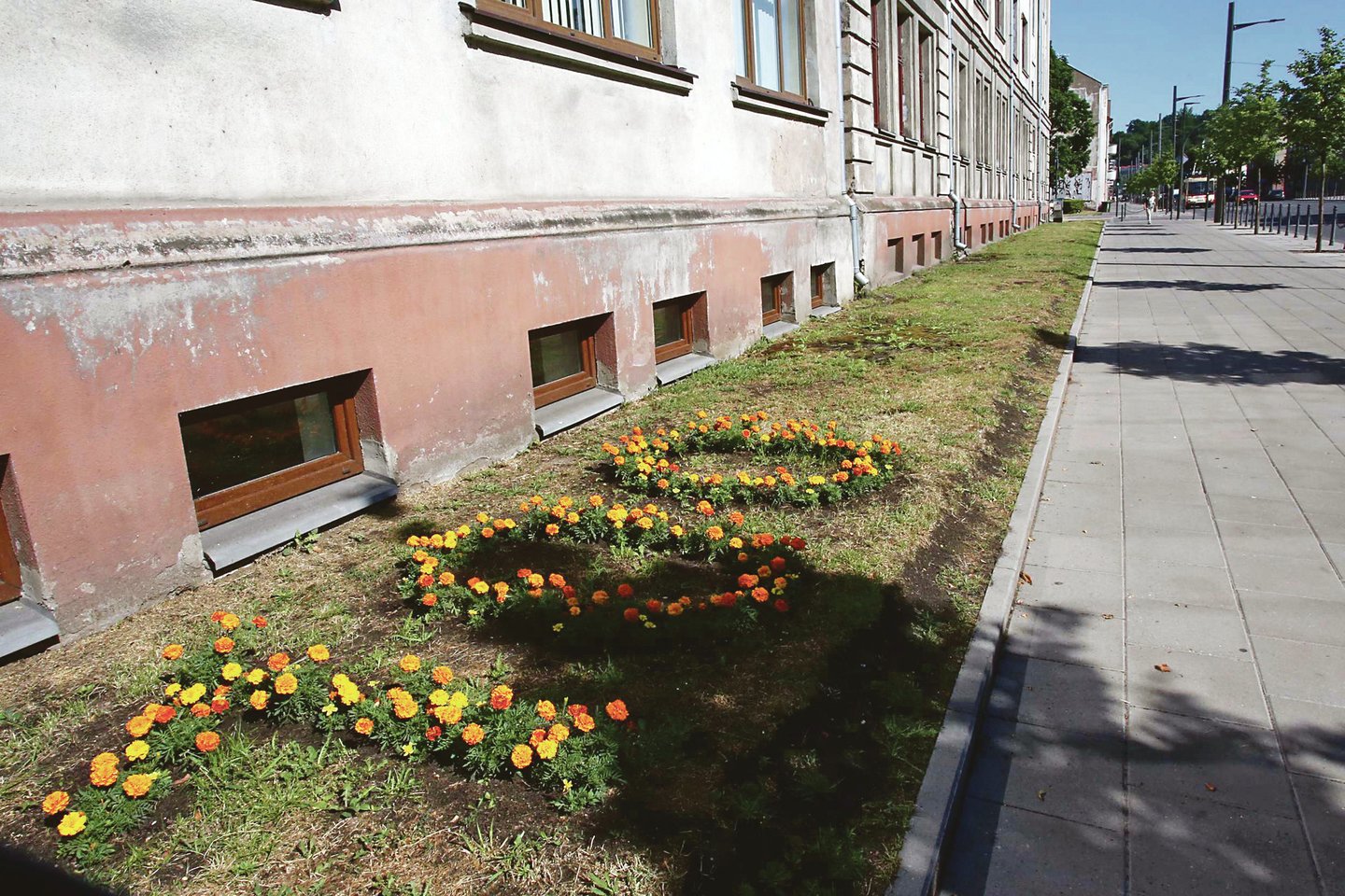 S.Dariaus ir S.Girėno gimnazija pasodino simbolišką gėlių kompoziciją.