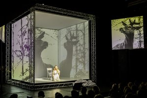 Vilniaus festivalį užbaigė stilinga vienatvės drama