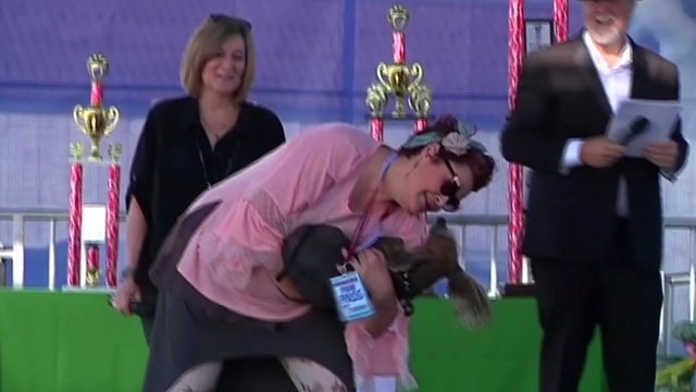 JAV pasibaigė neeilinis konkursas: išrinktas bjauriausias pasaulio šuo