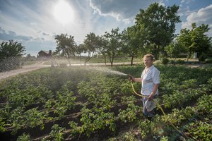 Meteorologai: tokio birželio Lietuvoje nebuvo 58 metus
