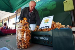 Kauno turguje pakvipo voveraitėmis – grybų kaina stulbinanti