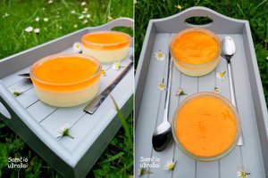 Panakota su apelsinų žele tiesiog tirpsta burnoje