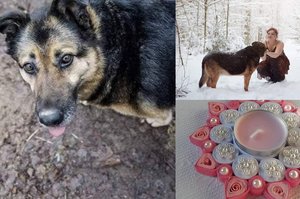 Socialiniuose tinkluose plinta neeilinis vilnietės šunelio gelbėjimo planas