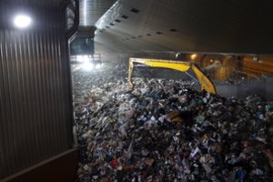 Romos gydytojai perspėja dėl šiukšlių keliamo pavojaus sveikatai