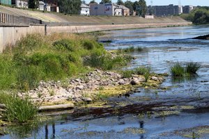 Tarnybos skambina pavojaus varpais – Lietuvai gresia hidrologinė sausra 