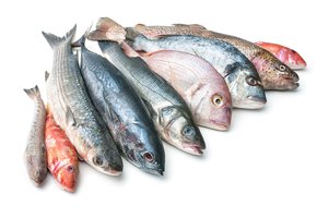 Gamtininkai įspėja: šių daugelio pamėgtų žuvų verčiau nepirkti