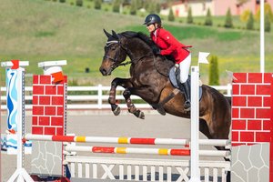 „Harmony Park“ tarptautinės žirgų konkūrų varžybos šiemet virs tikru laisvalaikio festivaliu šeimoms