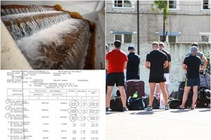 Skandalas Pravieniškėse: kalinių sunaudojamo vandens kiekio pakaktų ir drambliams