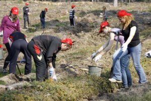 Paskutinė diena teikti paraiškas dėl paramos miškų apsaugai ir atkūrimui
