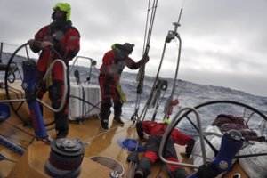 Žinia apie šeimos pagausėjimą pasiekė bekraščiame vandenyne