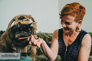 Įspūdingai graži pūkuota katytė nežinioje laukė prie sukalto namuko durų slenksčio