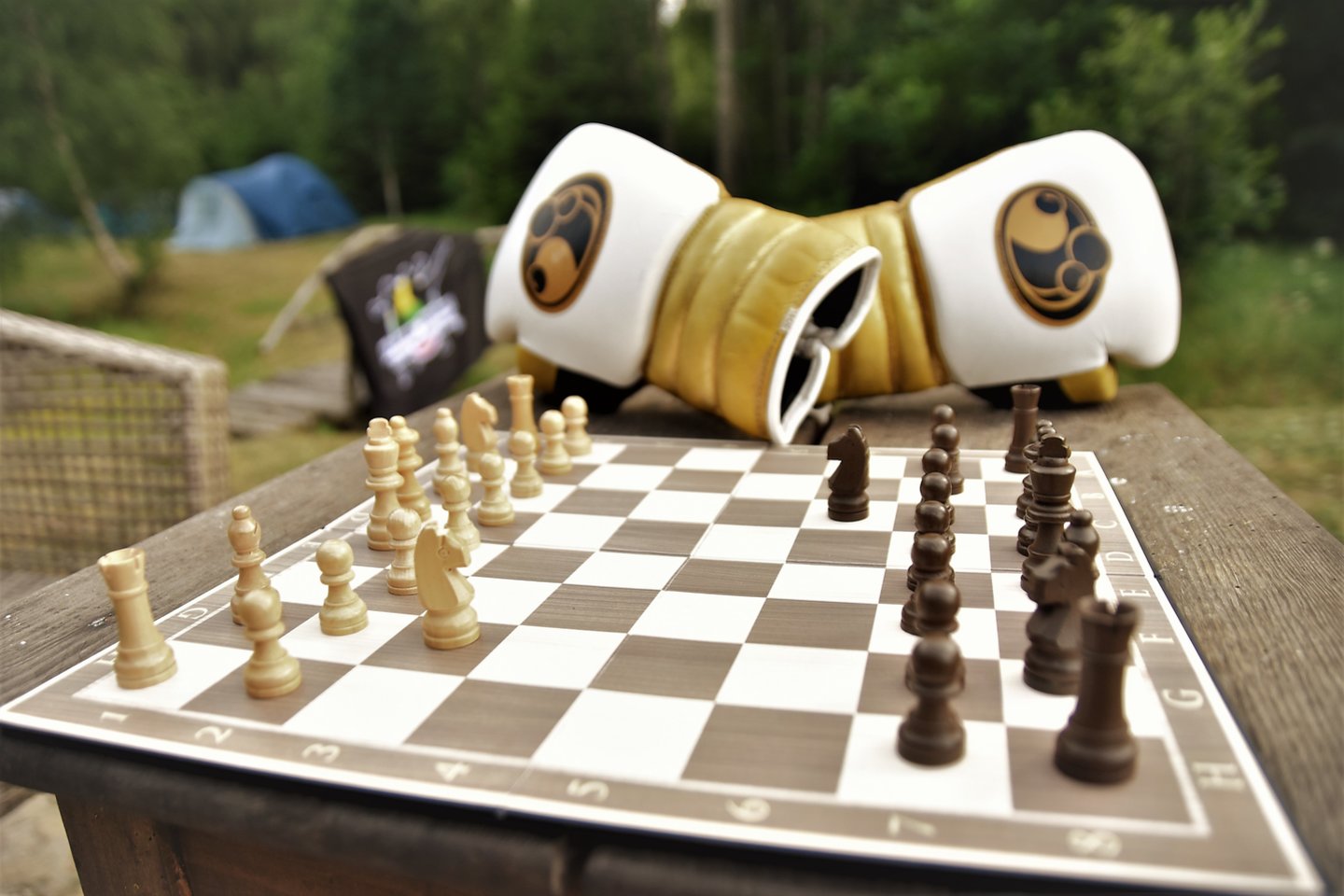 Šachbokso turnyras vyks Jadvygavoje.<br> Ž.Ruseckaitės nuotr.