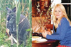 Rokiškio r. užmušto kengūriuko Ajezulio šeimininkė: „Tokio netekties skausmo dar nebuvau patyrusi“