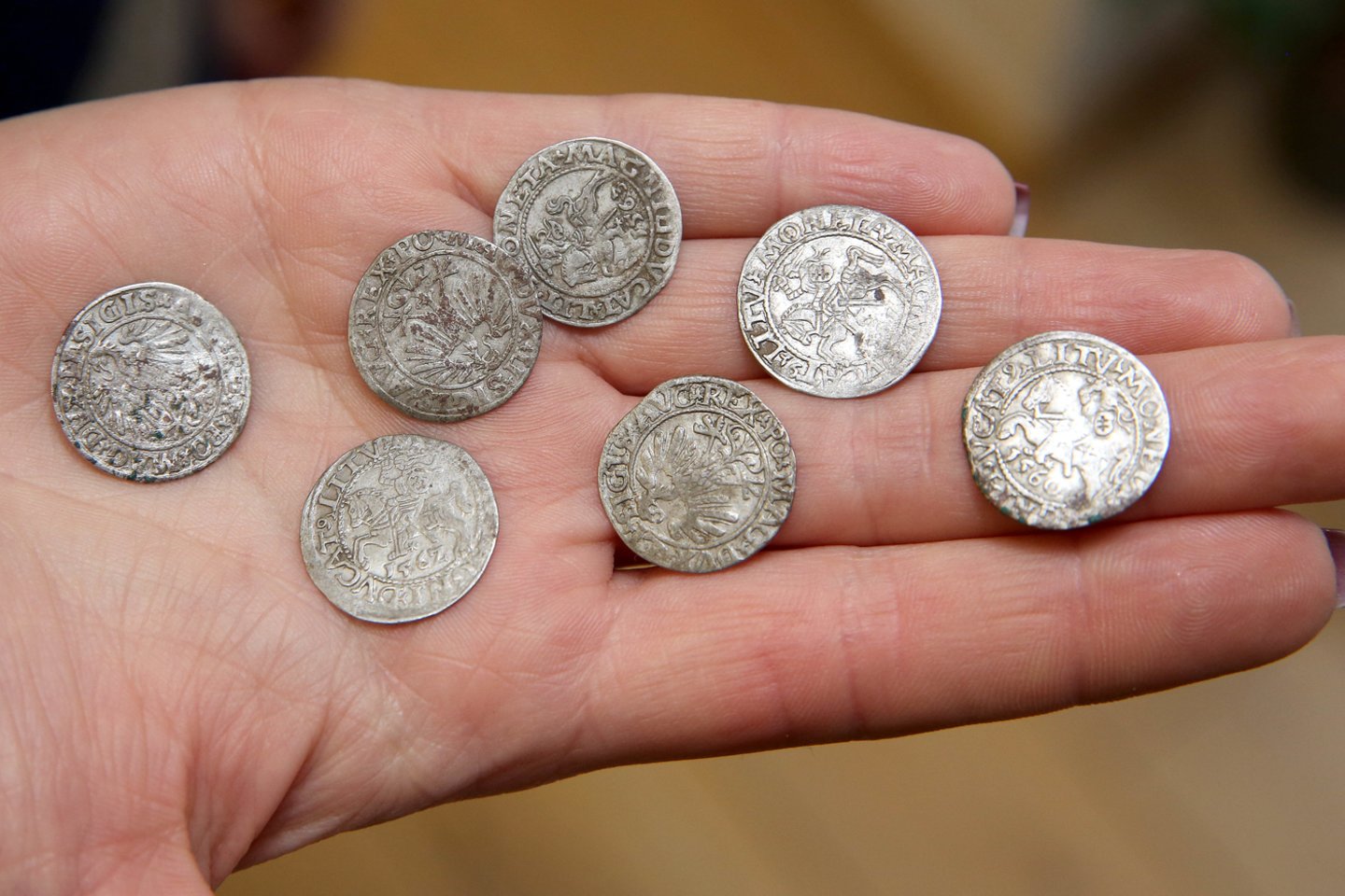Senovinių monetų pardavimą užsienio šalims apsunkina leidimų kaina.<br>R.Danisevičiaus asociatyvioji nuotr.