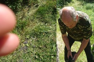 Siaubingas grybautojų radinys Juodeikių miške: pasišlykštėjo beširdžio poelgiu