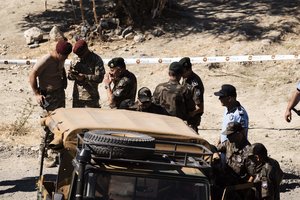 Kipras tiria iš dangaus nukritusi objektą, panašų į raketą