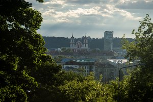 Kalnų parko tvarkymui skyrė 6 mln. eurų, žada iškirsti 1000 medžių