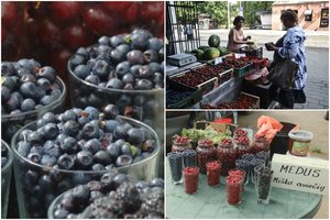 Žvėriškos miško gėrybių kainos lietuvius verčia griebtis už galvos: uogautojai nieko gero nežada