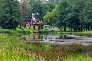 Suskubkite – Pakruojo dvaras pasipuošė tūkstančiais žiedų 