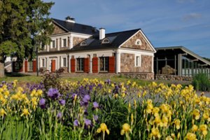 Paliesiaus dvare liepą – mylimų artistų netikėtos išpažintys