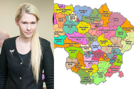 Dėl migracijos – pokyčiai per rinkimus: nustatyto dydžio neatitinka 18 apygardų