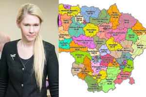 Dėl migracijos – pokyčiai per rinkimus: nustatyto dydžio neatitinka 18 apygardų