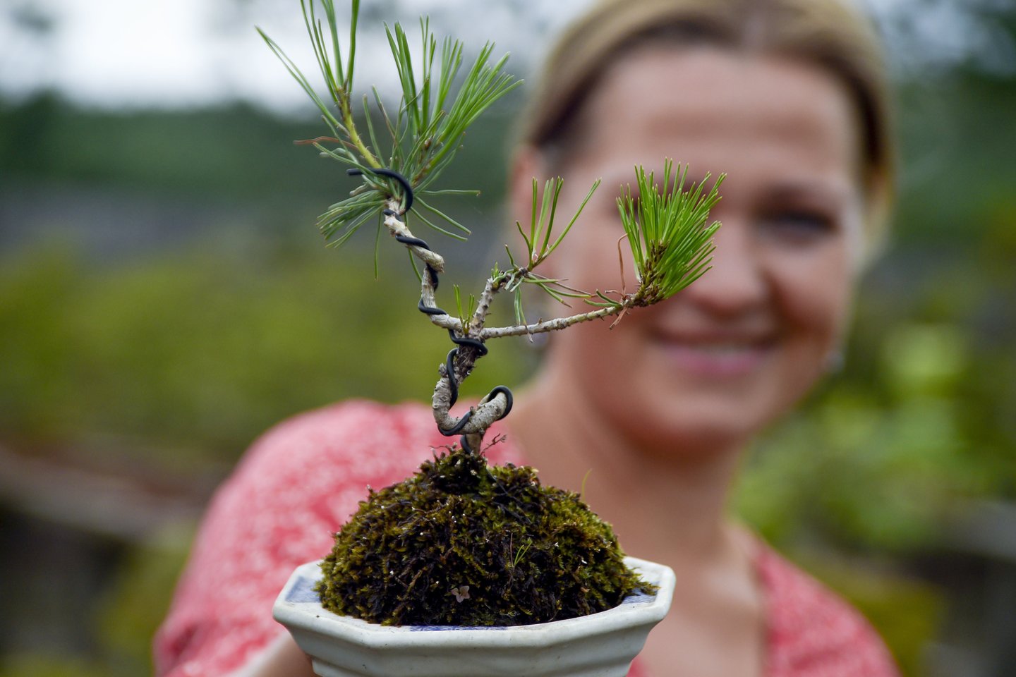 Gražina Maštaraitė su žurnalistais pasidalijo naudingais patarimais, ką reikia kasdien padaryti, kad jūsų bonsai medelis gyvuotų šimtus metų.<br>V.Ščiavinsko nuotr.