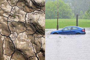 Lietuvoje bus kuriamas Klimato kaitos pasekmių tyrimo centras