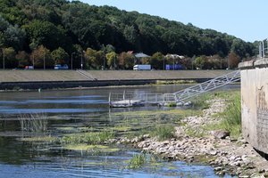 Dėl sausros Lietuvoje žada skelbti ekstremalią padėtį