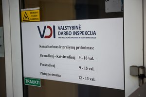 Laikinojo įdarbinimo veiklai tęsti prašymams skirtas laikas senka