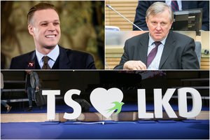 G. Landsbergis prabilo apie raganų medžioklę: jeigu norima kariauti su Landsbergiu – tebūnie