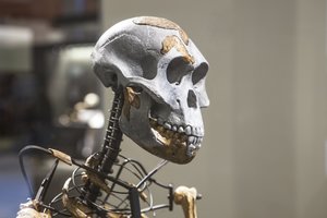 Kaip žmonės viską su*iko: pasi*ikimų pradžia