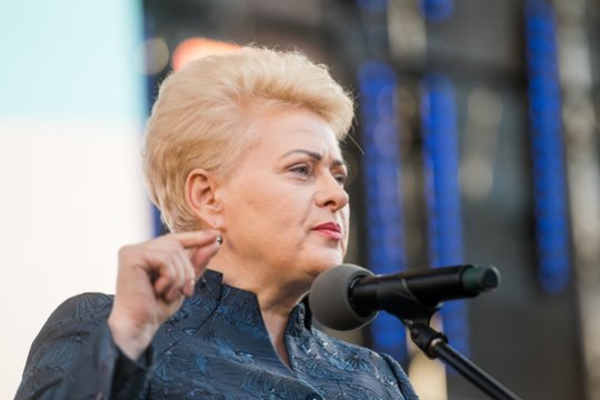 Dalia Grybauskaitė paskyrė du savo patarėjus ambasadoriais