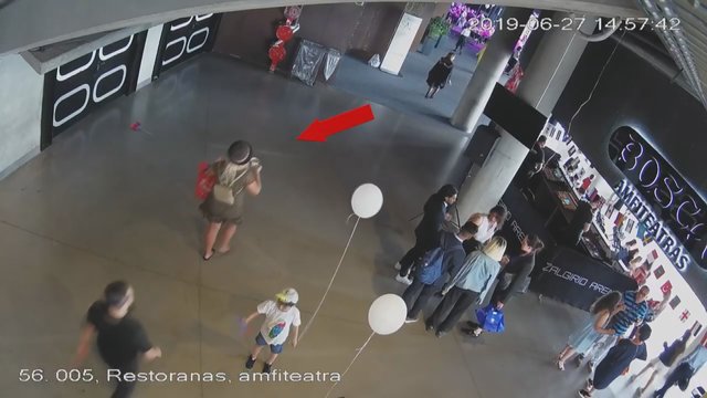 Kaune esančioje arenoje įvykdyta vagystė: policija ieško užfiksuotos moters