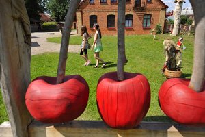 To Žagarės vyšnių festivalyje dar nebuvo – įspūdingos sporto varžybos ir kultūrinė programa