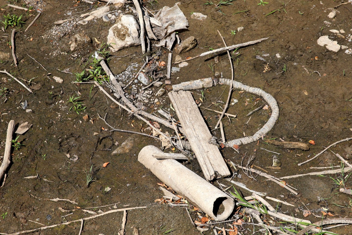 Nusekus vandeniui pakrantėse pasimatė senosios krantinės trinkelės, padangos.<br>R.Danisevičiaus nuotr.