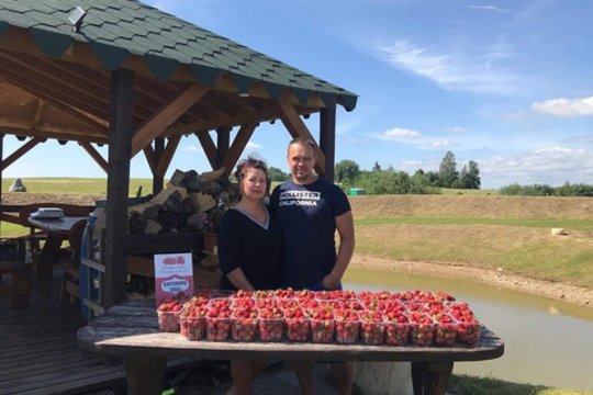 Užderėjęs modernus braškynas grąžina investicijas