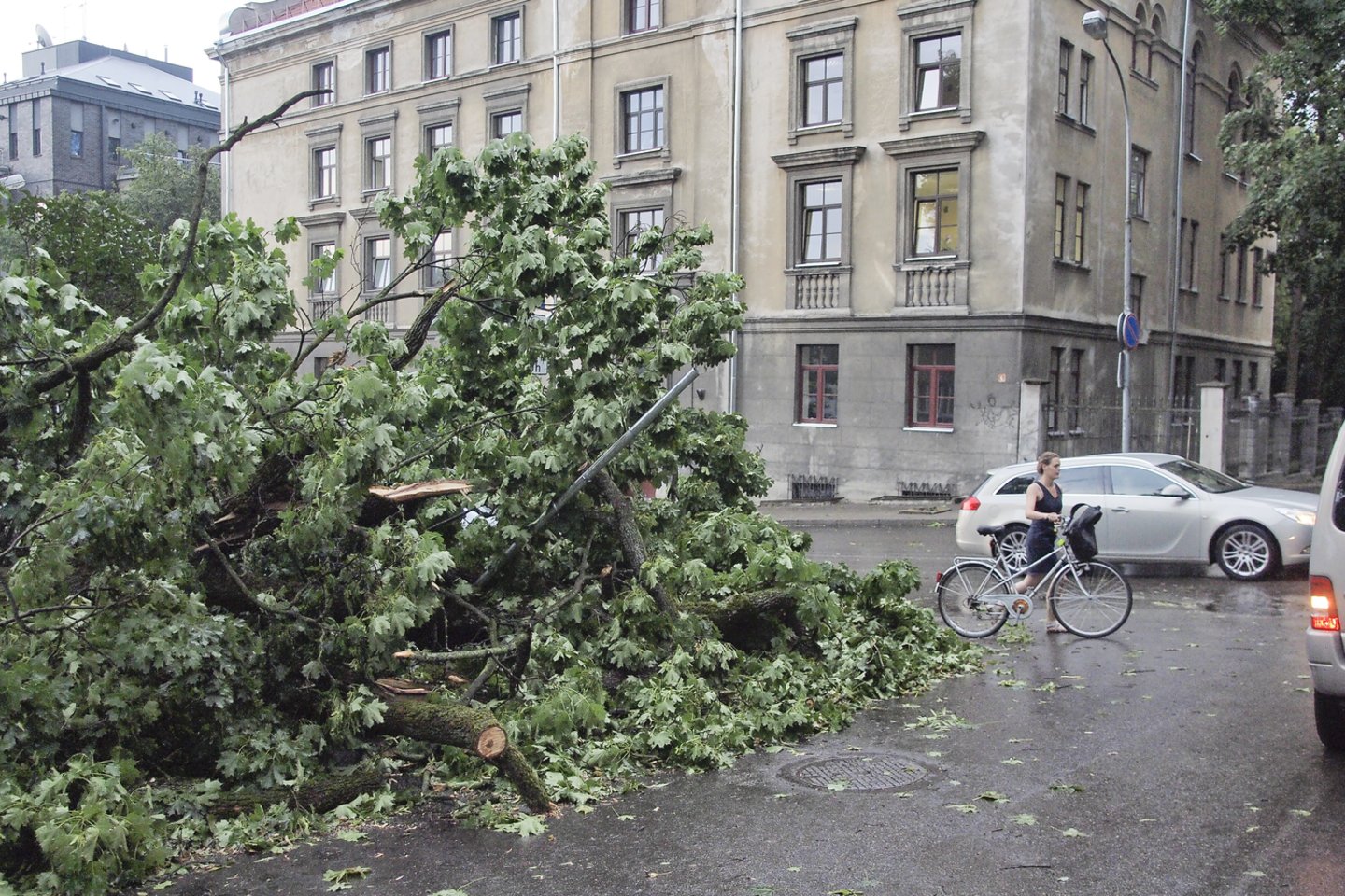 Įsisiautėjęs vėjas ugniagesiams pridarė darbo: šeštadienį šalino medžius virš 20 kartų.