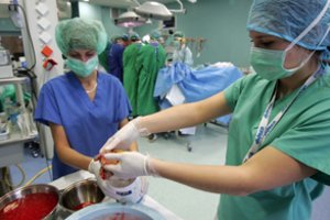 Paaukoti organus sutinka vis daugiau žmonių 