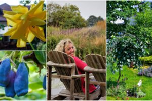 Vilnietė kieme sukūrė šeimai rojų, kuriam net ir priežiūros daug nereikia