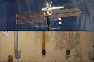 Tarptautinėje kosminėje stotyje įsiveisė superpelėsis