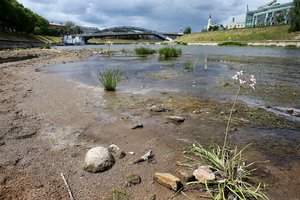 Baltarusija Lietuvai gelbėti Neries nepadės