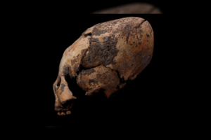 Kinijoje ištirtos ateivių galvas primenančios kaukolės