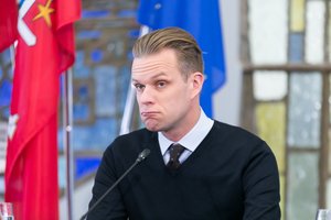 G. Landsbergis dirbs Seimo NSGK